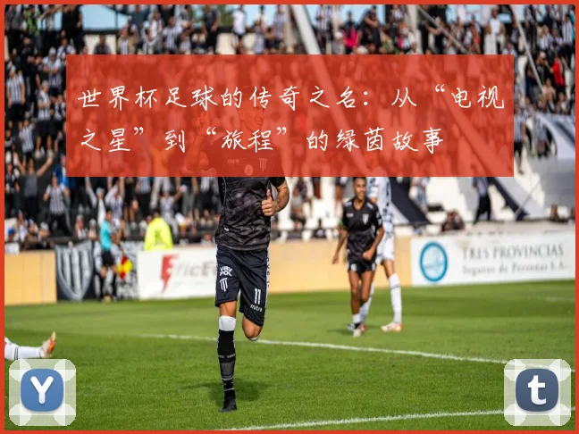 世界杯足球的传奇之名：从“电视之星”到“旅程”的绿茵故事
