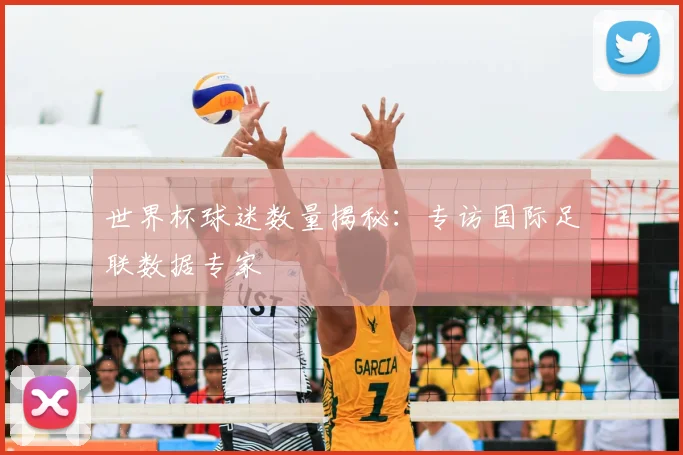 世界杯球迷数量揭秘：专访国际足联数据专家