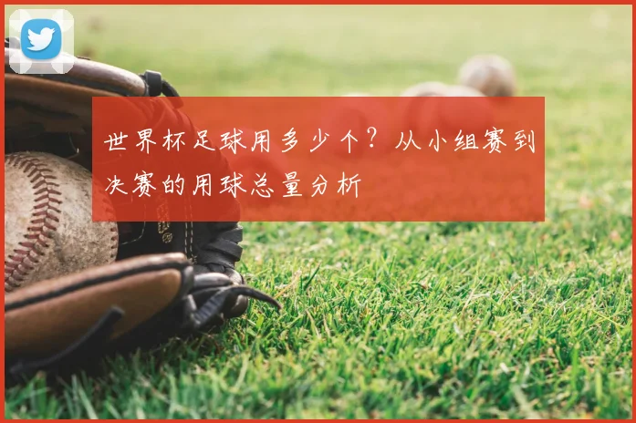 世界杯足球用多少个？从小组赛到决赛的用球总量分析