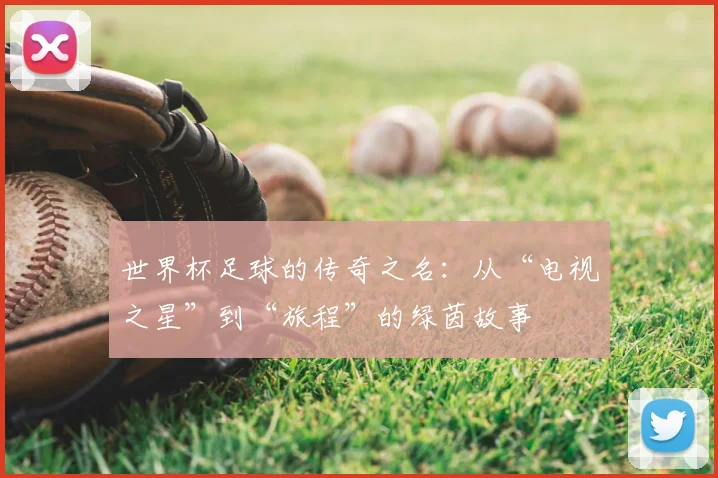 世界杯足球的传奇之名：从“电视之星”到“旅程”的绿茵故事