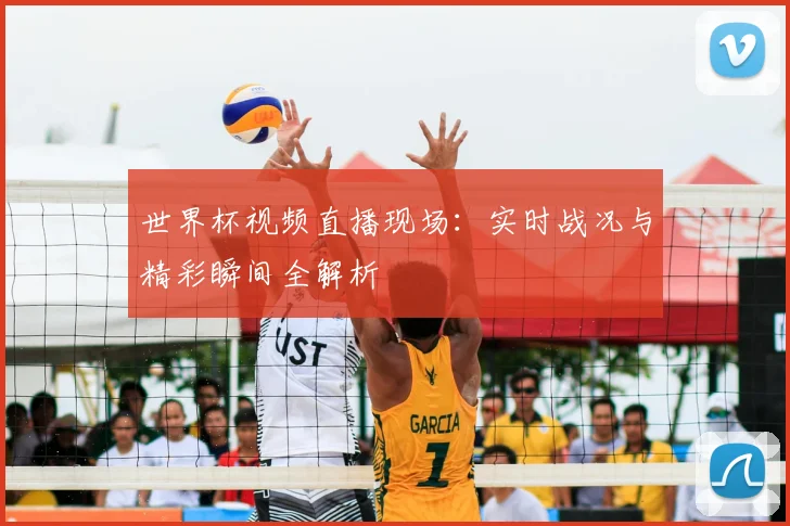 世界杯视频直播现场：实时战况与精彩瞬间全解析