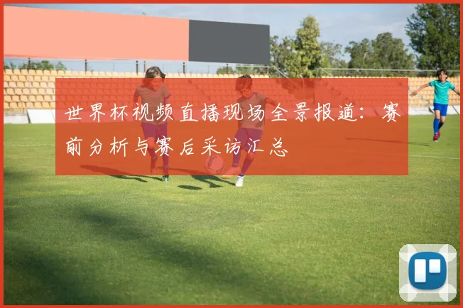 世界杯视频直播现场全景报道：赛前分析与赛后采访汇总
