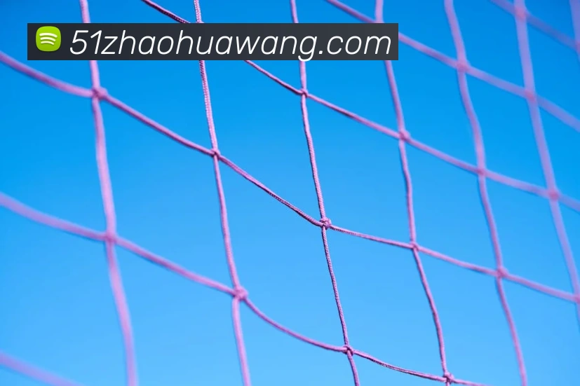 九游体育官方下载品牌故事